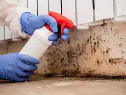 Best Biohazard Mold Removal  in Whitehouse, OH